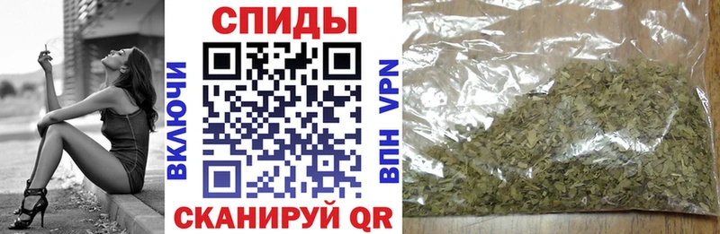 ОМГ ОМГ маркетплейс Грязовец БУТИРАТ буратино