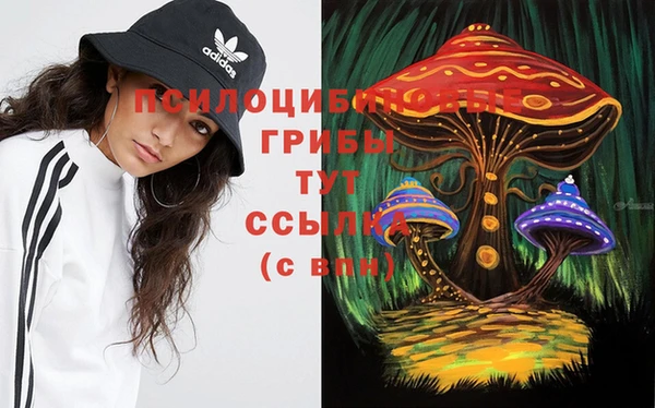 а пвп мука Баксан